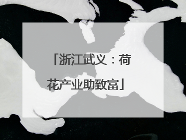浙江武义：荷花产业助致富