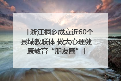 浙江桐乡成立近60个县域教联体 做大心理健康教育“朋友圈”
