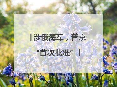 涉俄海军，普京“首次批准”
