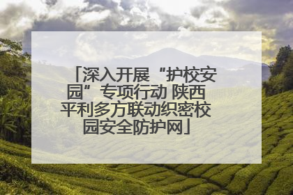 深入开展“护校安园”专项行动 陕西平利多方联动织密校园安全防护网