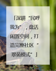 深耕“民呼我为”，盘活闲置空间，打造完整社区“翠苑模式”