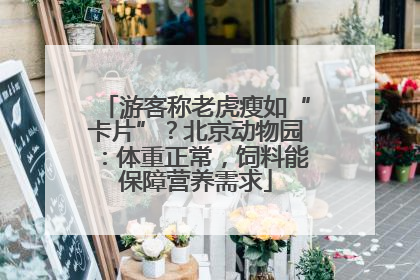 游客称老虎瘦如“卡片”？北京动物园：体重正常，饲料能保障营养需求