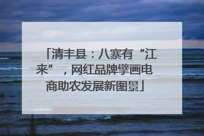 清丰县：八寨有“江来”，网红品牌擘画电商助农发展新图景