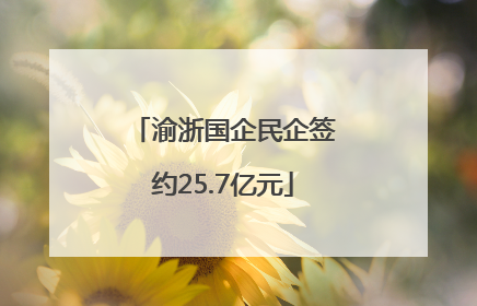 渝浙国企民企签约25.7亿元