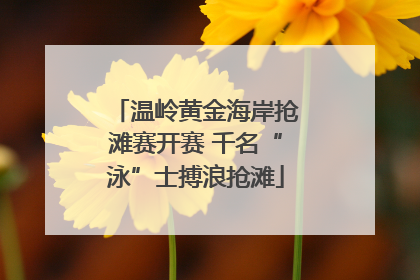 温岭黄金海岸抢滩赛开赛 千名“泳”士搏浪抢滩