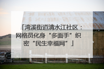 湾溪街道清水江社区：网格员化身“多面手”织密“民生幸福网”