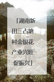 湖南新田三占塘村金银花产业兴旺促振兴