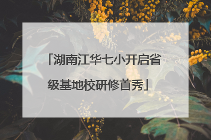 湖南江华七小开启省级基地校研修首秀