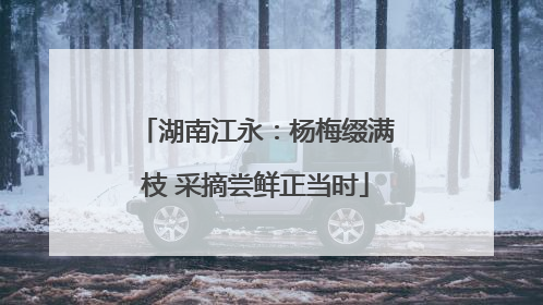 湖南江永：杨梅缀满枝 采摘尝鲜正当时