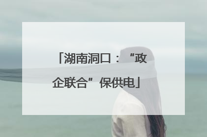 湖南洞口：“政企联合”保供电