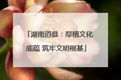 湖南道县：厚植文化底蕴 筑牢文明根基
