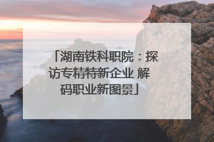 湖南铁科职院：探访专精特新企业 解码职业新图景