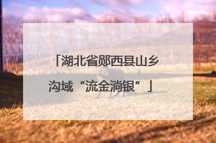 湖北省郧西县山乡沟域“流金淌银”