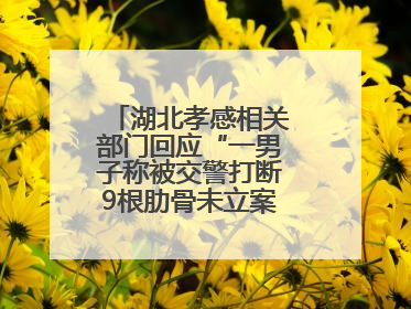 湖北孝感相关部门回应“一男子称被交警打断9根肋骨未立案”：已成立联合专班开展工作