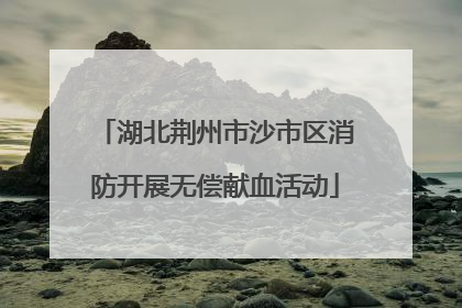 湖北荆州市沙市区消防开展无偿献血活动
