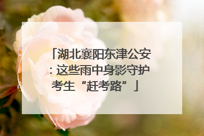 湖北襄阳东津公安：这些雨中身影守护考生“赶考路”