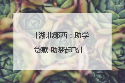 湖北郧西：助学贷款 助梦起飞