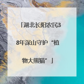 湖北长阳农民38年深山守护“植物大熊猫”