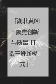 湖北黄冈：聚焦创新与质量 打造三维新模式