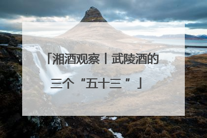 湘酒观察丨武陵酒的三个“五十三 ”