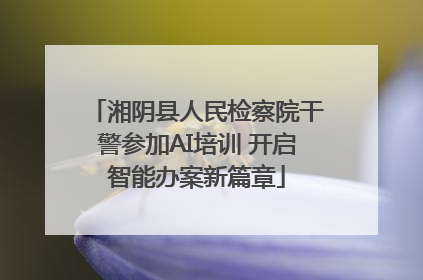 湘阴县人民检察院干警参加AI培训 开启智能办案新篇章
