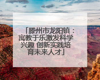 滕州市龙阳镇：寓教于乐激发科学兴趣 创新实践培育未来人才