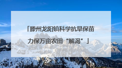 滕州龙阳镇科学抗旱保苗 力保万亩农田“解渴”