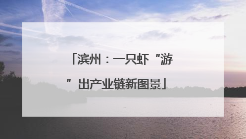 滨州：一只虾“游”出产业链新图景