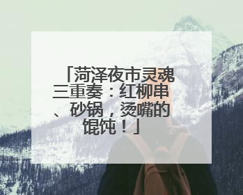 菏泽夜市灵魂三重奏：红柳串、砂锅，烫嘴的馄饨！