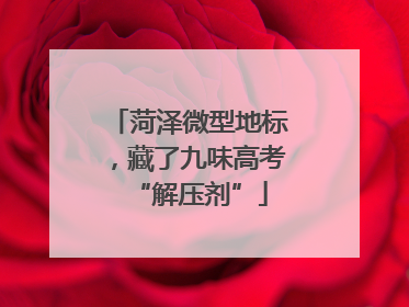 菏泽微型地标，藏了九味高考“解压剂”