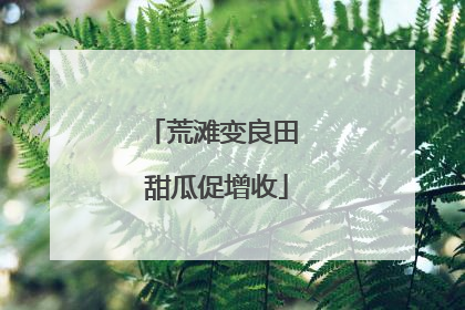 荒滩变良田 甜瓜促增收