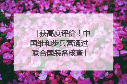 获高度评价！中国维和步兵营通过联合国装备核查
