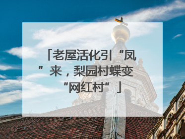 老屋活化引“凤”来，梨园村蝶变“网红村”