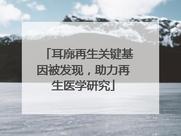 耳廓再生关键基因被发现，助力再生医学研究