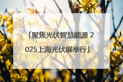聚焦光伏智慧能源 2025上海光伏展举行