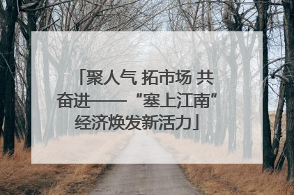 聚人气 拓市场 共奋进——“塞上江南”经济焕发新活力