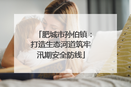 肥城市孙伯镇：打造生态河道筑牢汛期安全防线