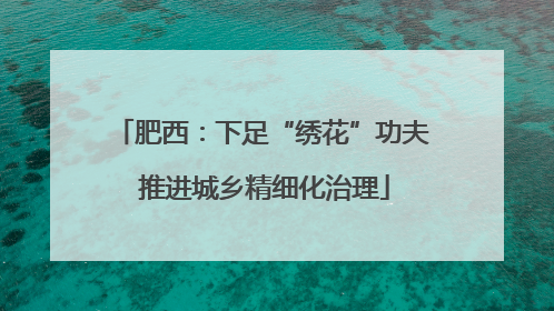 肥西：下足“绣花”功夫 推进城乡精细化治理
