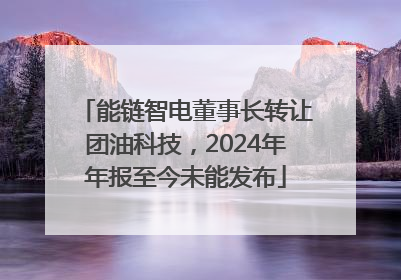能链智电董事长转让团油科技，2024年年报至今未能发布