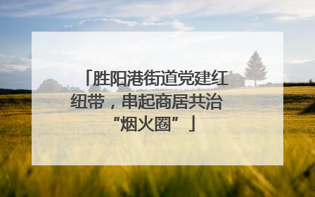 胜阳港街道党建红纽带，串起商居共治 “烟火圈”