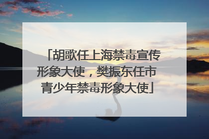 胡歌任上海禁毒宣传形象大使，樊振东任市青少年禁毒形象大使