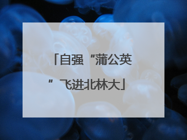 自强“蒲公英”飞进北林大