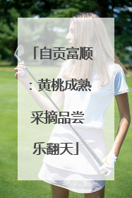 自贡富顺：黄桃成熟 采摘品尝乐翻天