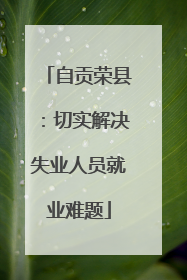 自贡荣县：切实解决失业人员就业难题