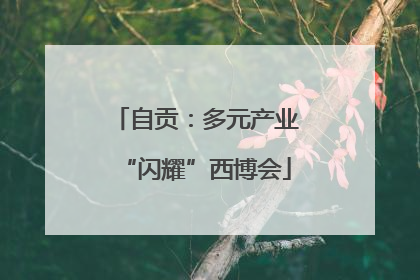 自贡：多元产业“闪耀”西博会