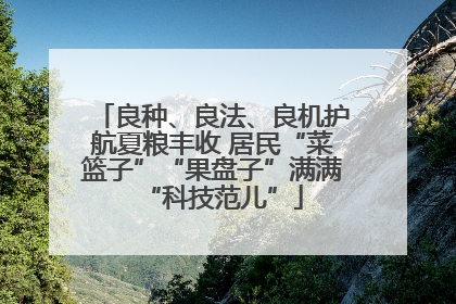良种、良法、良机护航夏粮丰收 居民“菜篮子”“果盘子”满满“科技范儿”