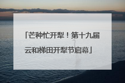 芒种忙开犁！第十九届云和梯田开犁节启幕