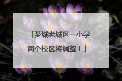 芗城老城区一小学两个校区将调整！