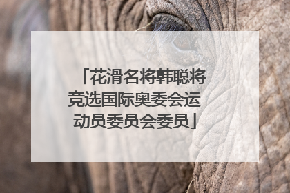 花滑名将韩聪将竞选国际奥委会运动员委员会委员