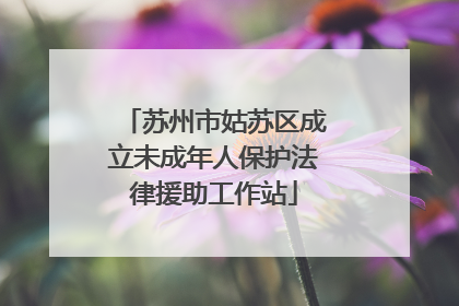 苏州市姑苏区成立未成年人保护法律援助工作站